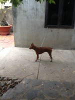 /album/th%c6%b0-vi%e1%bb%87n-h%c3%acnh-%e1%ba%a3nh%3a-trang-ch%e1%bb%a7/img-0074-jpg1/